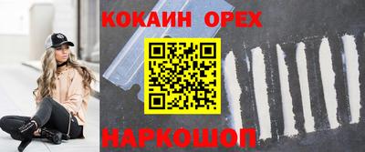 гашик Шелехов