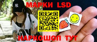гашик Шелехов