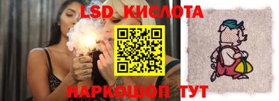 гашик Шелехов