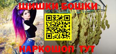 гашик Шелехов