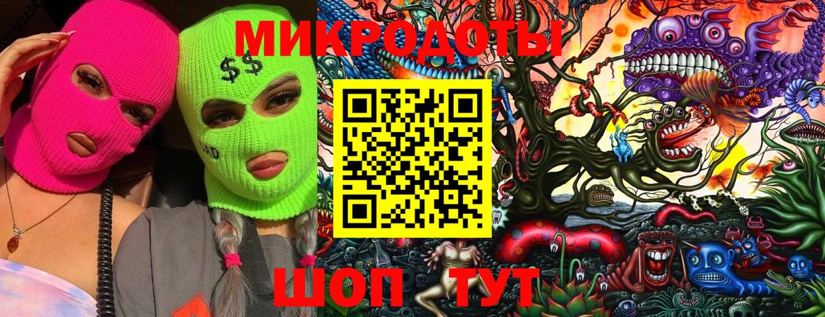 Горно-Алтайск  Псилоцибиновые грибы Psilocybine cubensis  Вход с VPN 