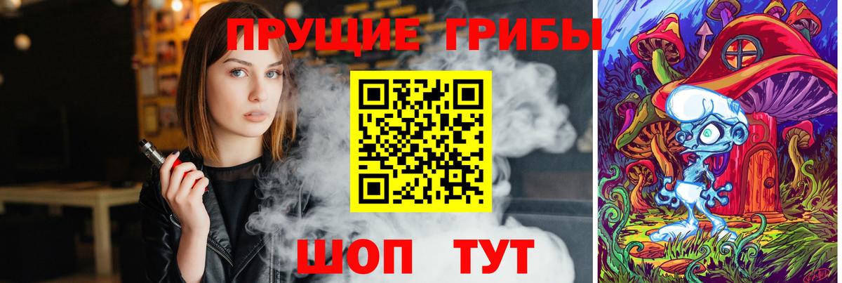 Галлюциногенные грибы Psilocybine cubensis Горно-Алтайск